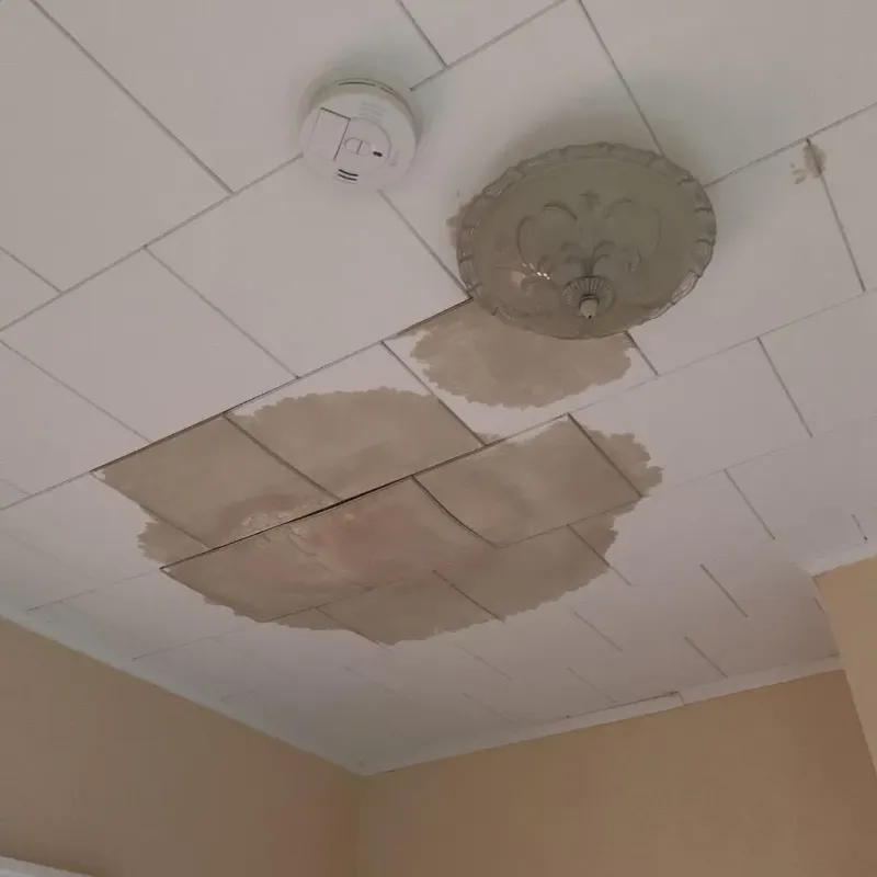 Ceiling Water Damage Repair in Strasburg, PA